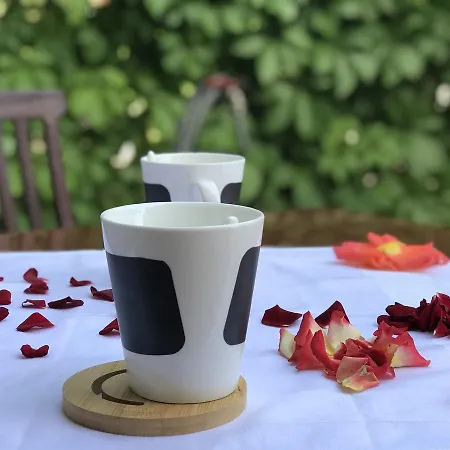 شقة Ivancica تيسنو