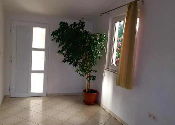 イヴァンチサ *