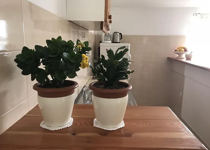 アパート イヴァンチサ