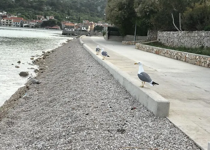 イヴァンチサ * ティスノ